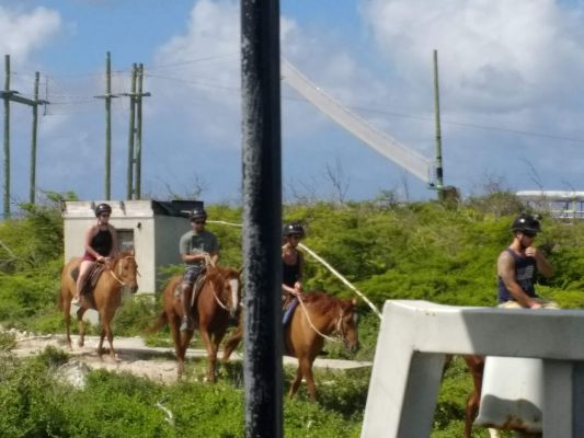 Horseback riding excursion in the Turks

