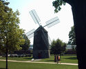 Filename=gv44.jpg
Filesize=40KiB
Dimensions=450x360
Date added=Sep 03, 2007 gv44.jpg