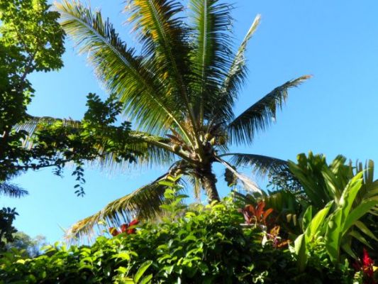 hawaii040.jpg