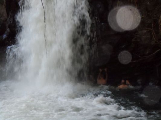 hawaii051.jpg