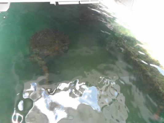 hawaii071.jpg