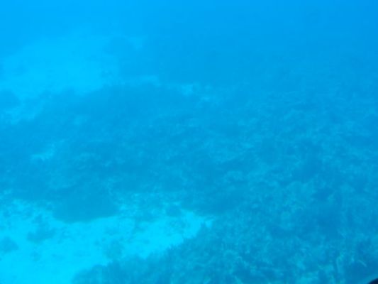 hawaii175.jpg