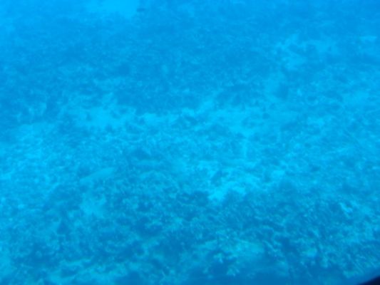 hawaii192.jpg