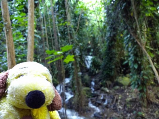 George loves waterfalls
