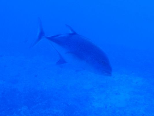 Well, hello down there!
