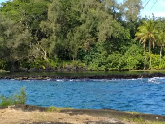hawaii2_131.jpg