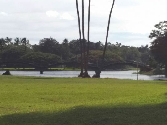hawaii2_136.jpg