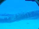 Filename=hawaii198.jpg
Filesize=39KiB
Dimensions=595x446
Date added=Jan 08, 2018 hawaii198.jpg
