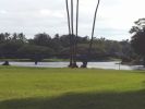 hawaii2_136.jpg