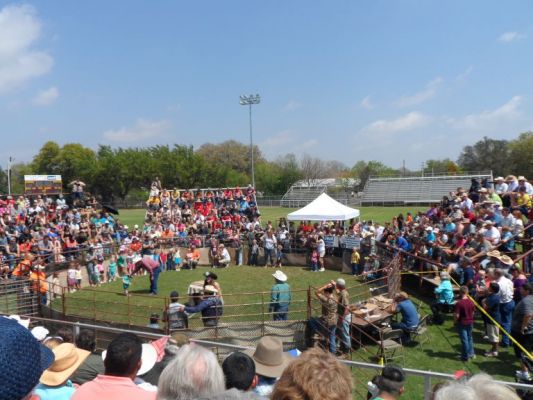 Even 2 yr olds participate
They only have to touch a hog to win a ribbon
