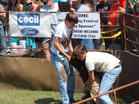 Get that hog in the bag and drag the bag over the white line.
