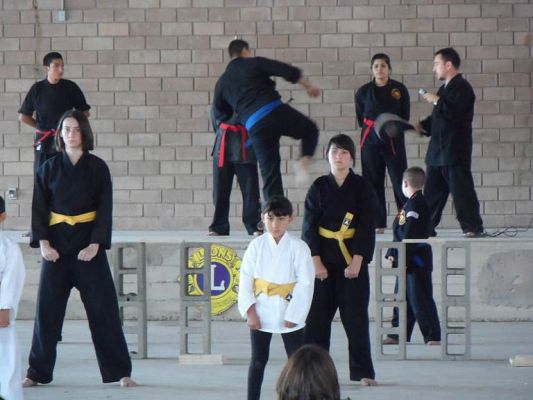Karate demonstration
