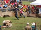 Filename=hogfest025.jpg
Filesize=139KiB
Dimensions=768x576
Date added=Mar 24, 2013 hogfest025.jpg