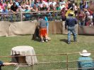 Filename=hogfest027.jpg
Filesize=138KiB
Dimensions=768x576
Date added=Mar 24, 2013 hogfest027.jpg