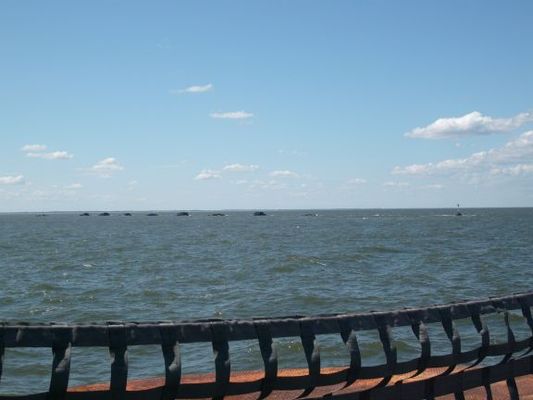 Jersey045.jpg