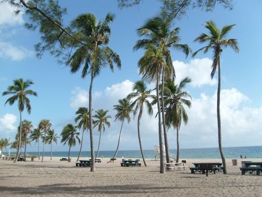 Fort Lauderdale beach
It costs $10 to park at the beach but it is a nice beach. Handicapped in a handicapped spot they tend to let park free but no guarantees a new cop won't write you up.
