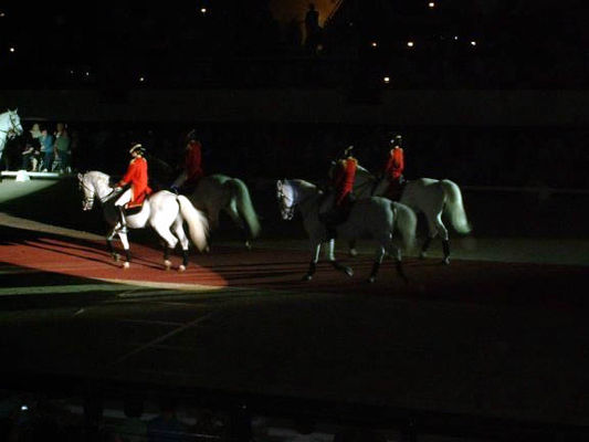 Lipizzaners008.jpg