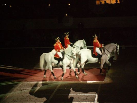 Lipizzaners015.jpg