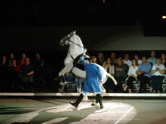 Lipizzaners017.jpg