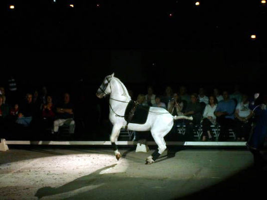 About to leap into the air
