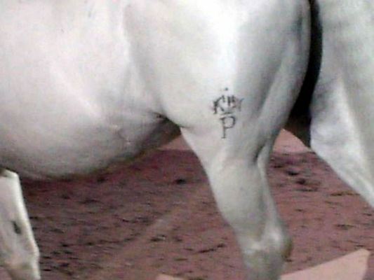 The P is his father's line. That is a crown on top.
