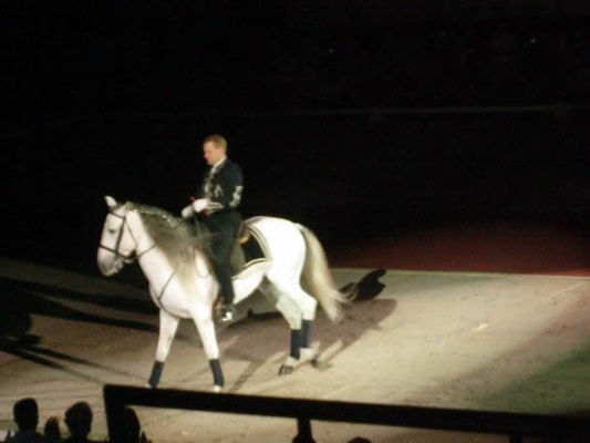 Spanish Andalusian
The Lipizzaners are descended from the Spanish Andalusian which has a silver mane and tail.
