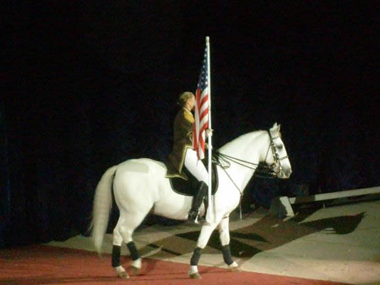 Lipizzaners030.jpg