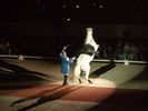 Filename=Lipizzaners018.jpg
Filesize=64KiB
Dimensions=576x432
Date added=Jan 01, 2009 Lipizzaners018.jpg