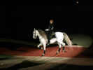 Filename=Lipizzaners027.jpg
Filesize=19KiB
Dimensions=576x432
Date added=Jan 01, 2009 Lipizzaners027.jpg