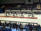 Filename=Lipizzaners035.jpg
Filesize=51KiB
Dimensions=576x432
Date added=Jan 01, 2009 Lipizzaners035.jpg