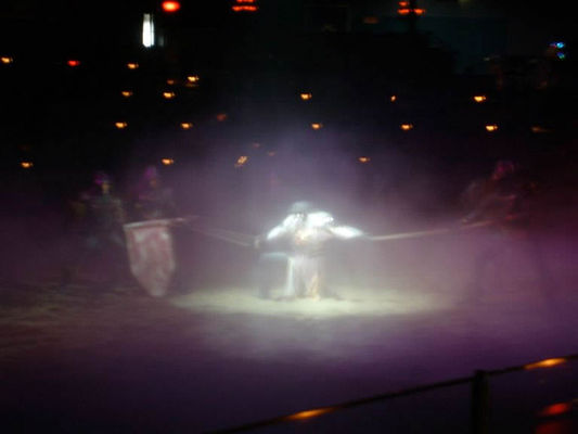 Capture of the prince
