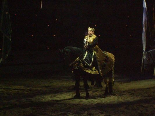His royal highness the King
