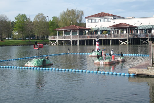 Remote controlled boats
