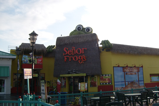 Senor Frog dining
