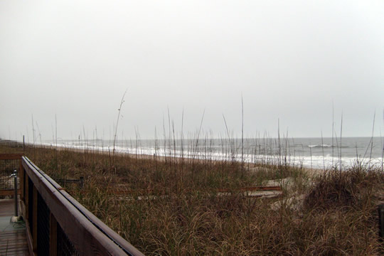 Myrtle Beach state park
