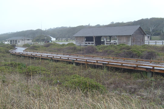 Myrtle Beach state park

