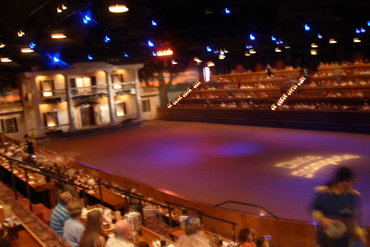 Dixie Stampede
I saw buffaloes, horses, trick riders, riding through fire, pig races, chicken chasing, the North against the South again. Lots of great music and foot stomping fun. Cool souvenir boot mugs and flags. No silverware so wash your hands.  
