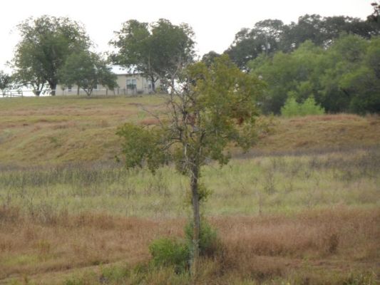 Farmhouse cabin on the hill
