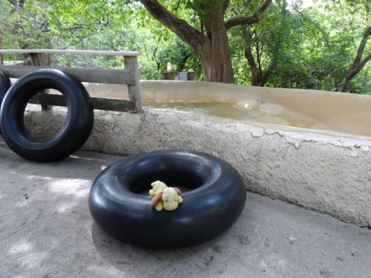 George decides to go tubing
