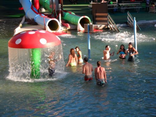 Getting some mushroom by the Sodastraws
