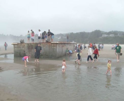 Tourists playing on and around the Japanese pier
