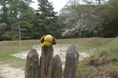 George defending the colony
