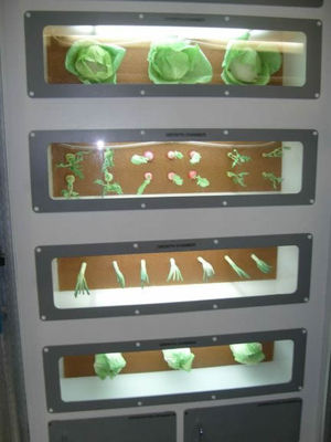 Growing plants sideways
