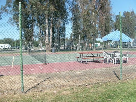 Tennis
