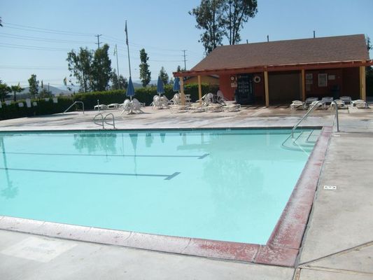 Family pool
