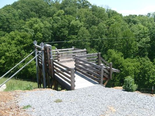 PigeonForge310.jpg