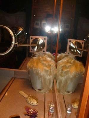 Dolly's wig

