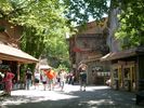 PigeonForge185.jpg