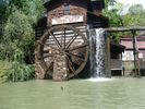 Filename=PigeonForge199.jpg
Filesize=103KiB
Dimensions=576x432
Date added=May 19, 2009 PigeonForge199.jpg