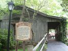 PigeonForge215.jpg